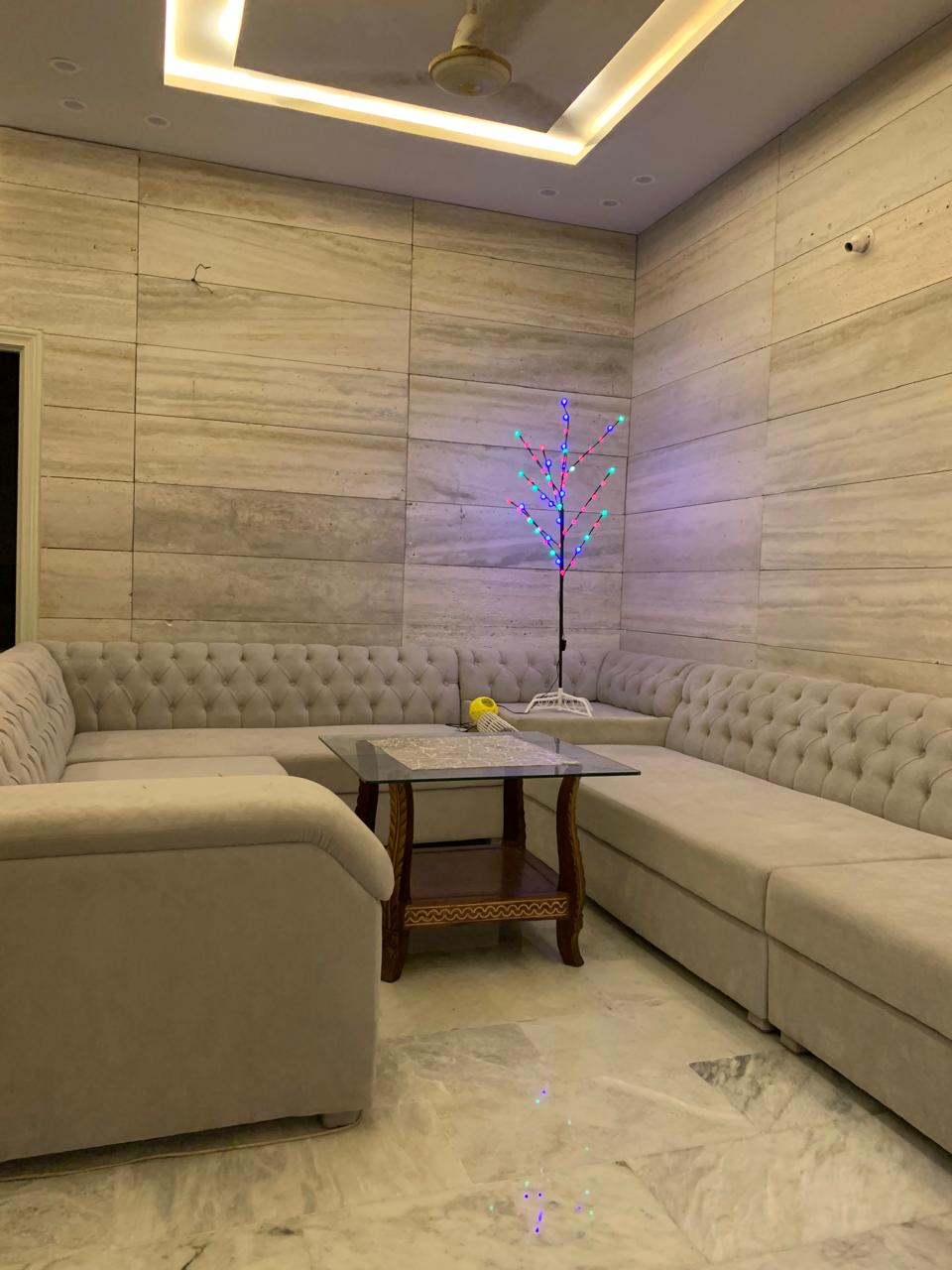 Elegant READ BLEU GREEN  Pot Decorative Light with 60 LEDs and 10 strings – perfect for corners, living rooms, or lawns.