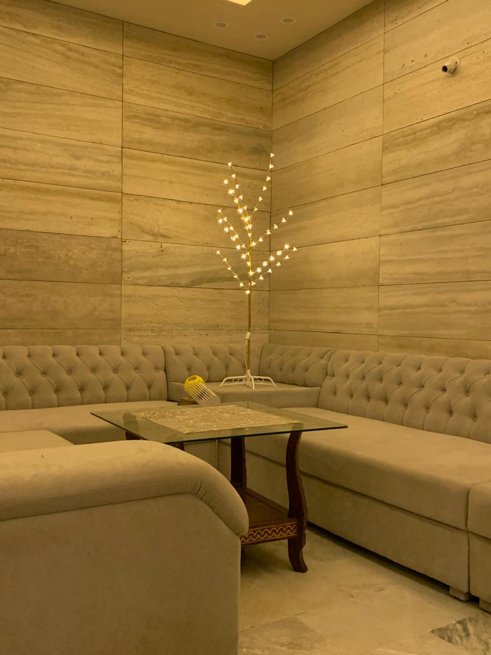 Elegant Golden Pot Decorative Light with 60 LEDs and 10 strings – perfect for corners, living rooms, or lawns.