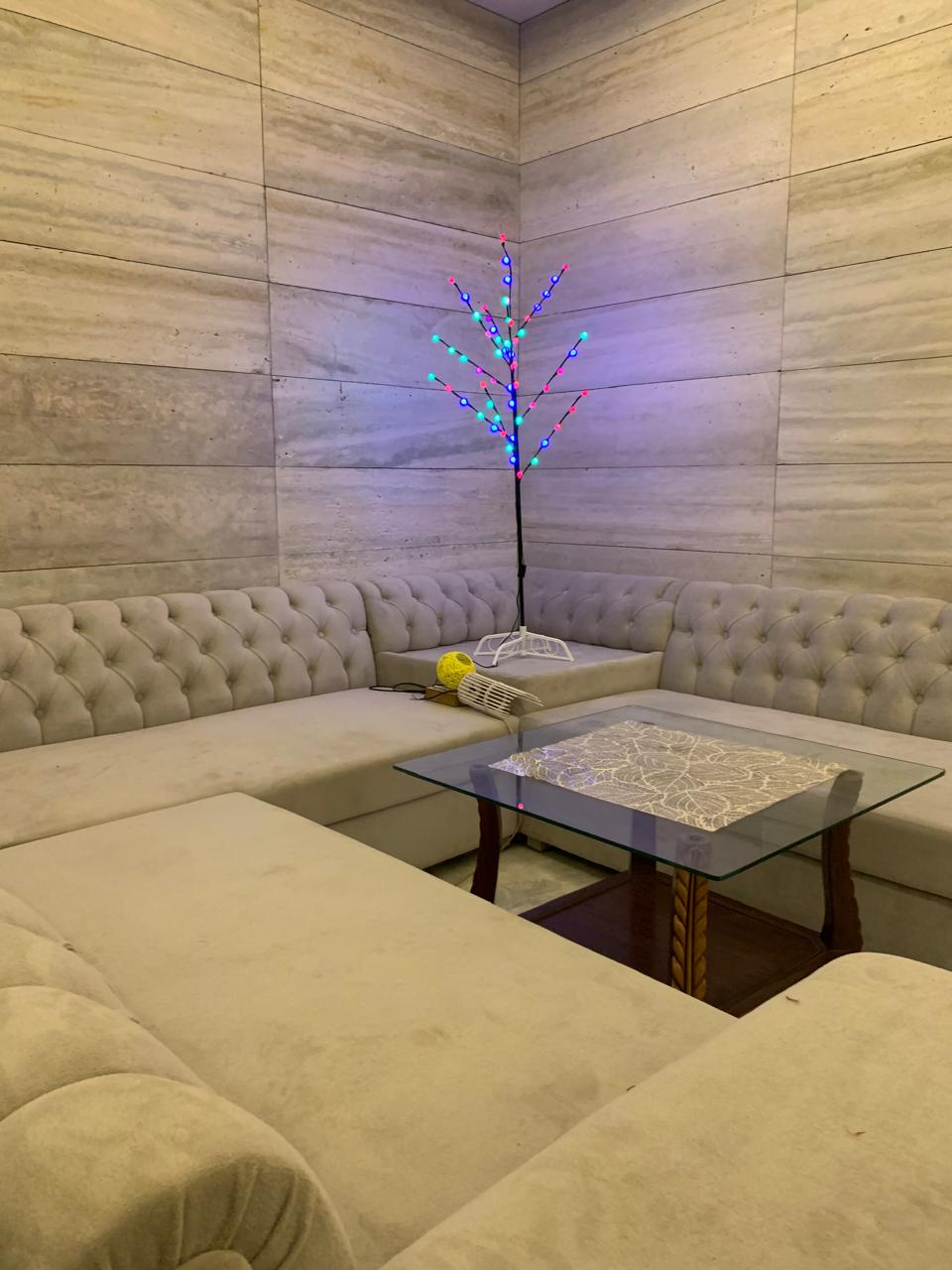 Elegant READ BLEU GREEN  Pot Decorative Light with 60 LEDs and 10 strings – perfect for corners, living rooms, or lawns.