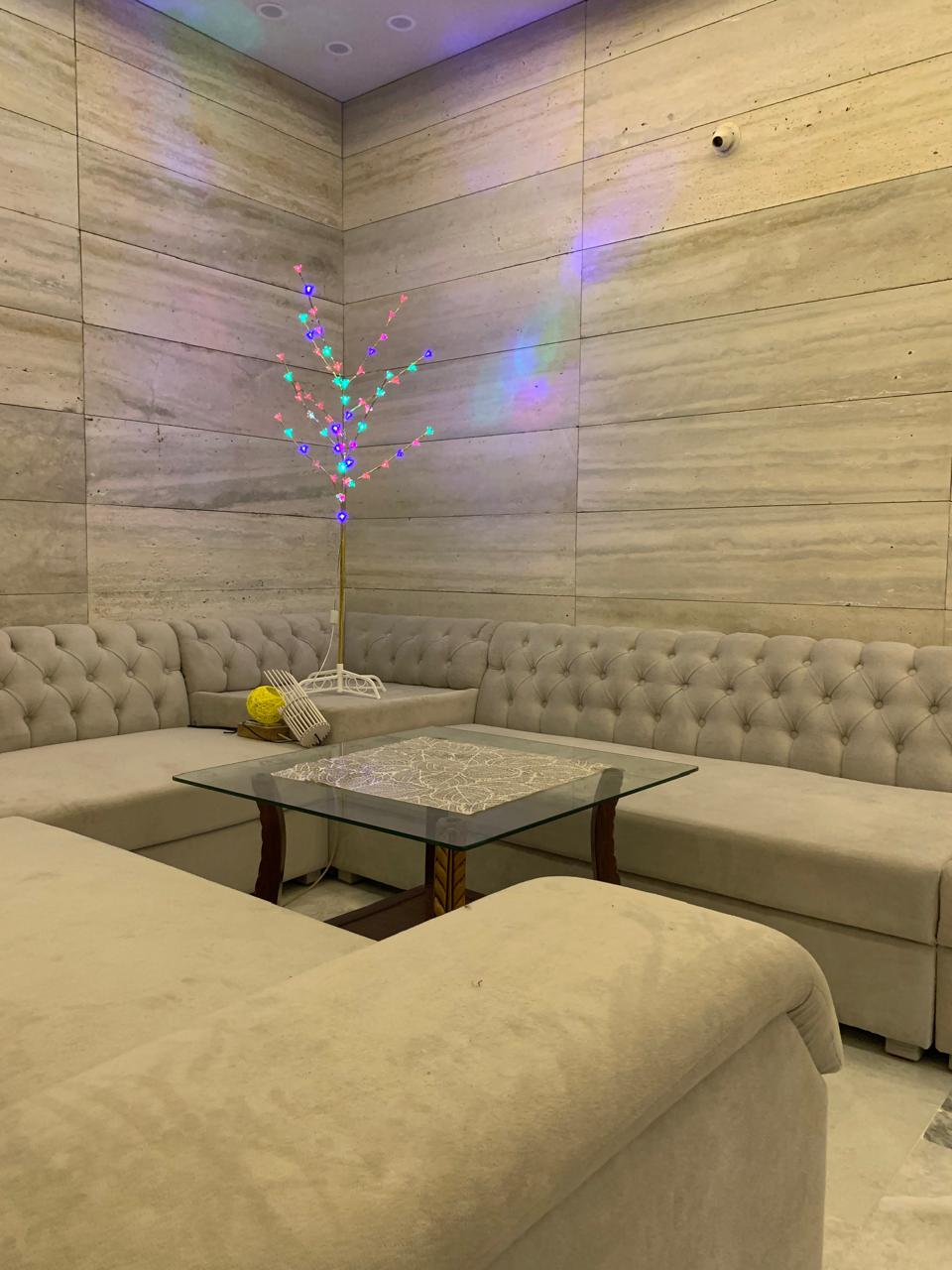 Elegant READ BLEU GREEN Pot Decorative Light with 60 LEDs and 10 strings – perfect for corners, living rooms, or lawns.